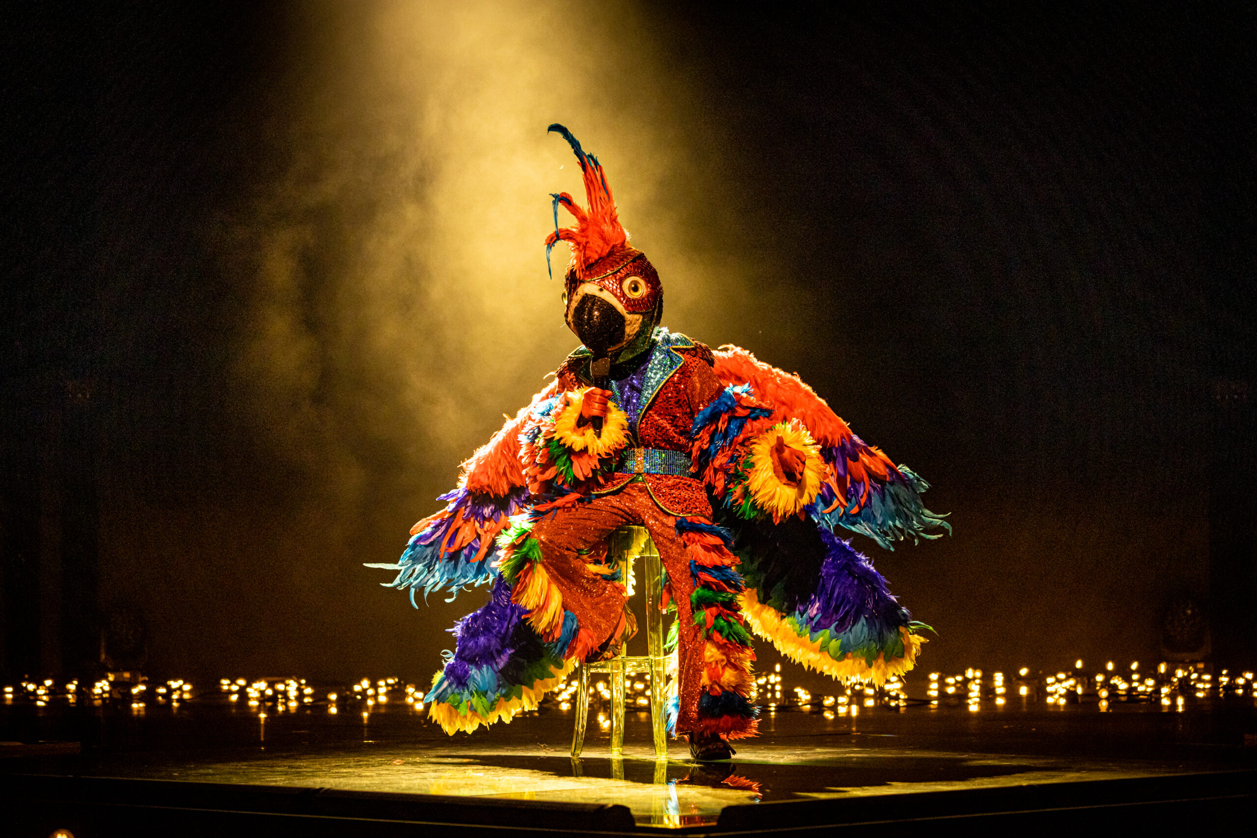 Papegaai in The Masked Singer - © DPG Media